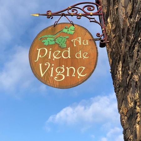 Appart Hotel Au Pied De Vigne Vresse-sur-Semois Eksteriør bilde