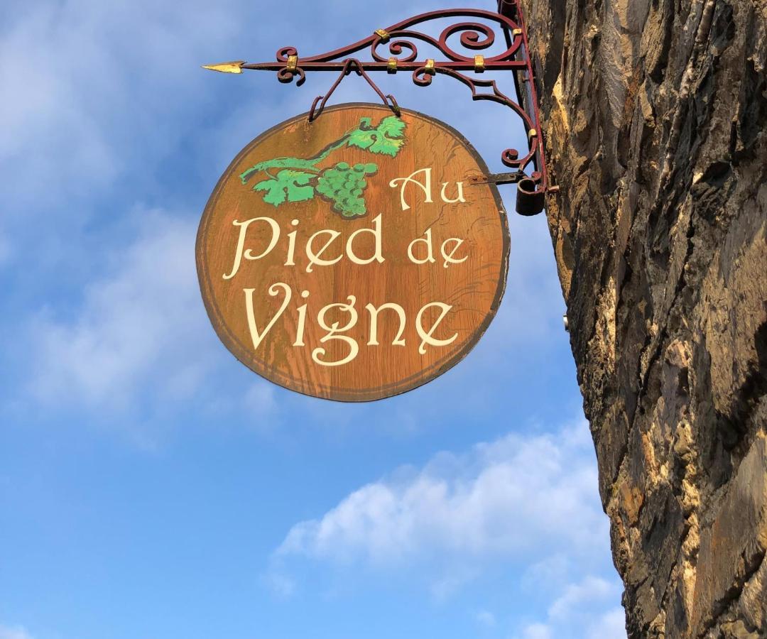 Appart Hotel Au Pied De Vigne Vresse-sur-Semois Eksteriør bilde